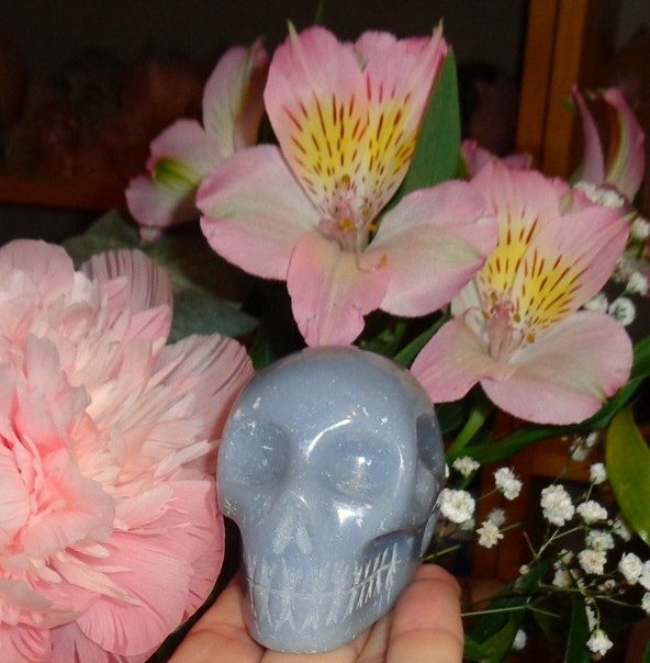 blauer Angelit Kristallschädel 285 g 300 g