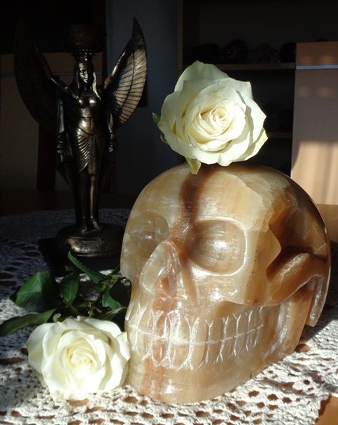 großer Honigcalcit Kristallschädel 8,4 kg Brasilien und weiße Rosen