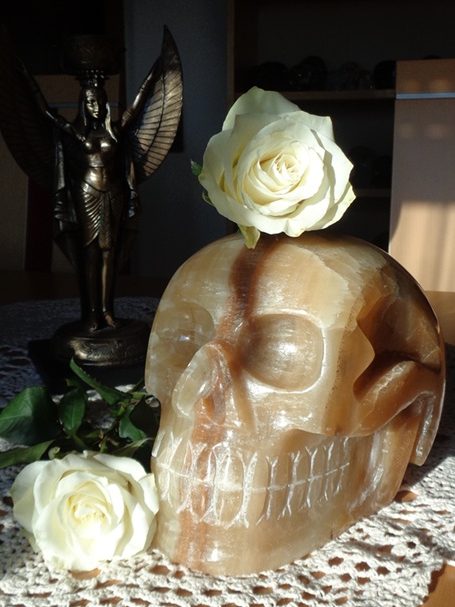 großer Honigcalcit Kristallschädel 8,4 kg Brasilien großer Honigcalcit Kristallschädel 8,4 kg Brasilien und weiße Rosen