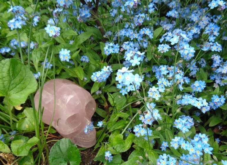 Rosenquarz Kristallschädel 950 g