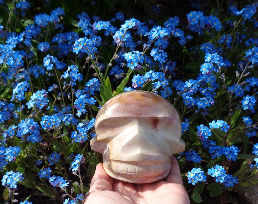 Kristallschädel Polychrom Japsis 900 g 1 kg