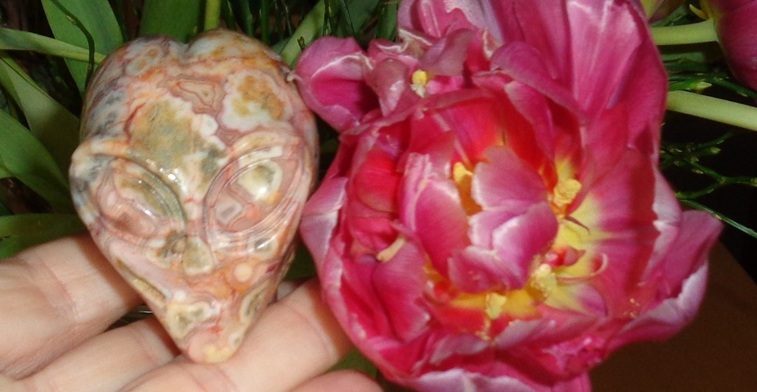 gelber Crazy Lace Achat Kristallschädel 150 g 148 g