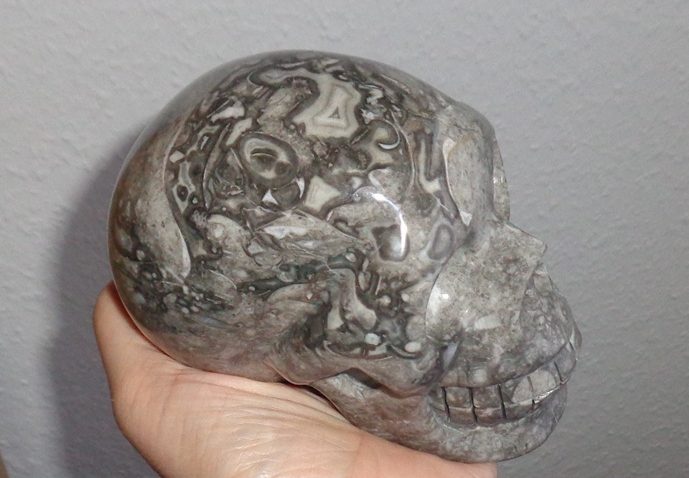 Muschel Fossil Kristallschädel grau 1,27 kg