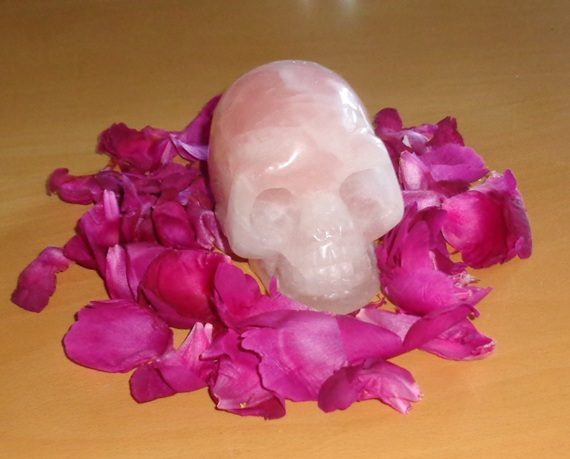 Rosenquarz Kristallschädel 885 g mit roten Pfingstrosen