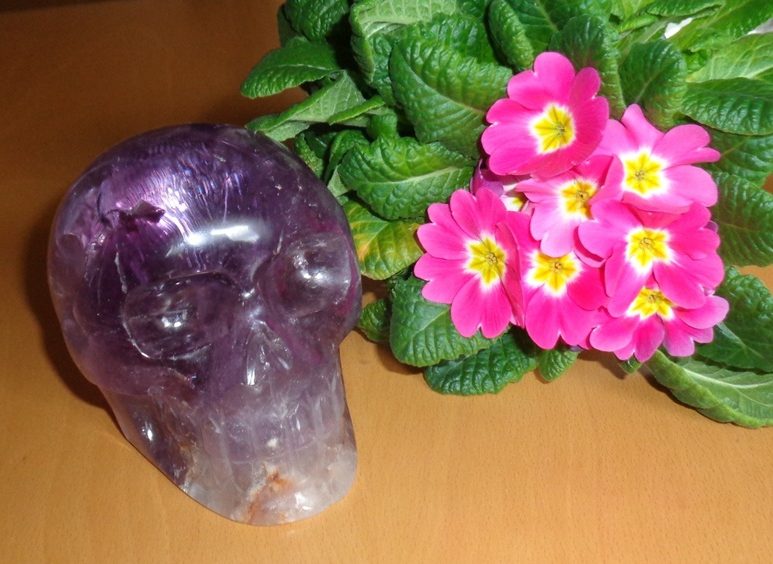 Kristallschädel klarer lila Amethyst Brasilien Shop Helaria