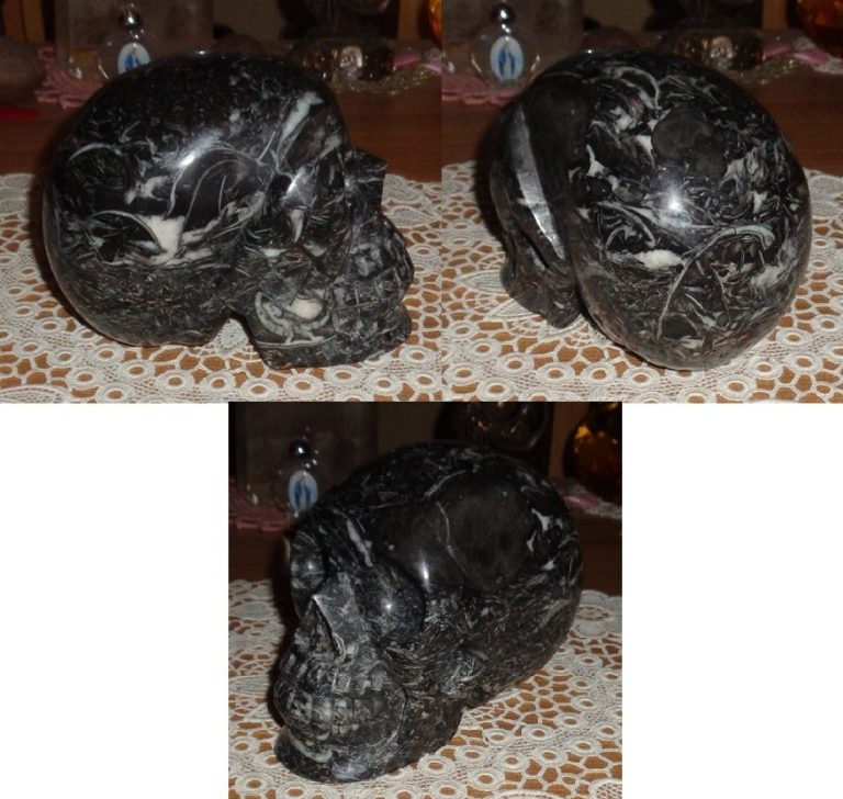großer Muschelfossil Kristallschädel 2,37 kg