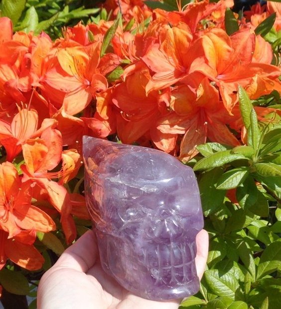 Amethyst Kristallschädel Traveler 1,27 kg