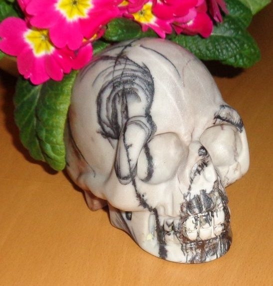 Netzjaspis Kristallschädel 735 g Helaria