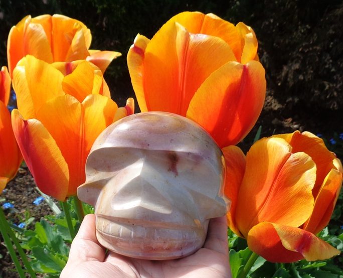 Kristallschädel Polychrom Japsis 900 g 1 kg