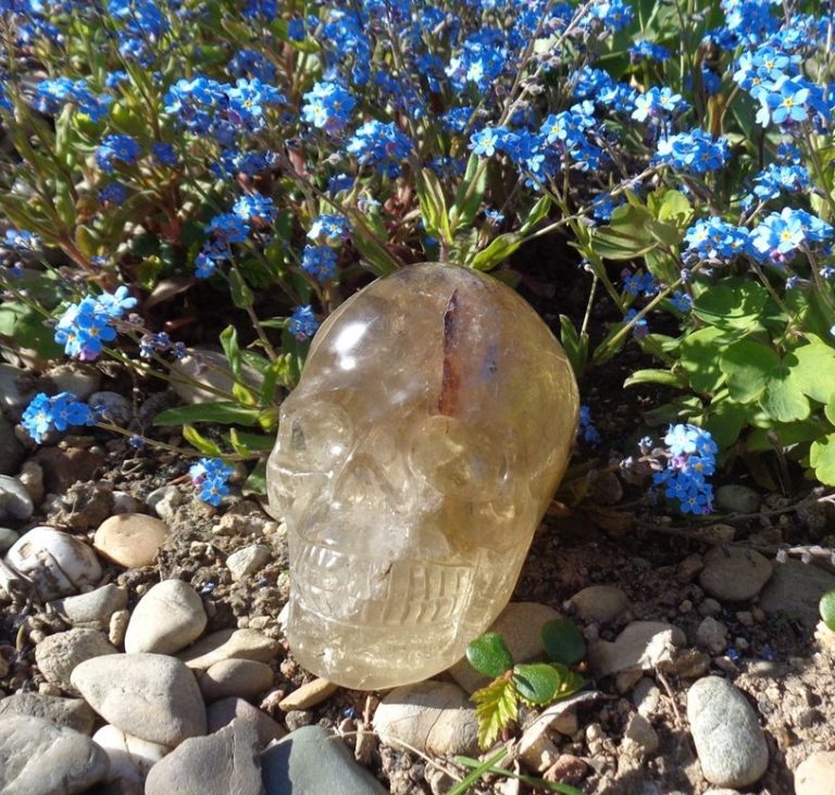 Rauchcitrin Kristallschädel 1,3 kg blaue Blumen