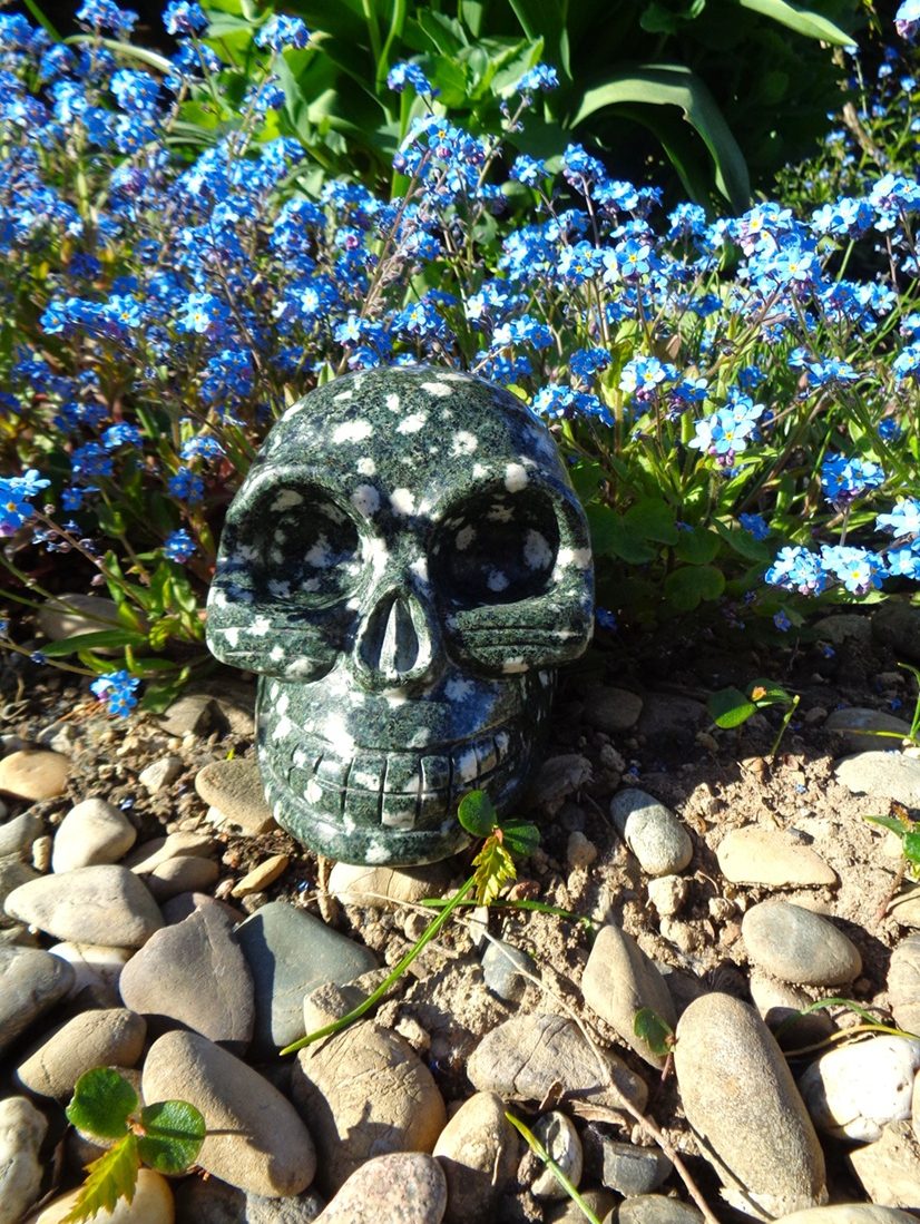 Preseli Bluestone Kristallschädel Preseli Bluestone Kristallschädel Helaria 500 g 1 2 kg