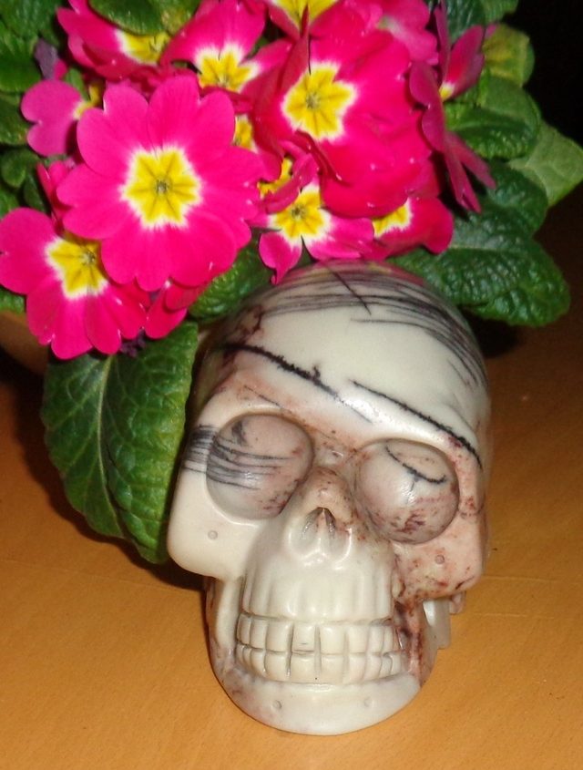 Kristallschädel Netz Jaspis Picasso 655 g