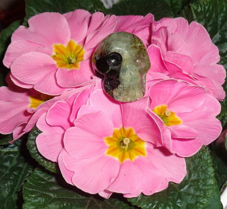 kleiner Prehnit Kristallschädel 20 g energetisiert