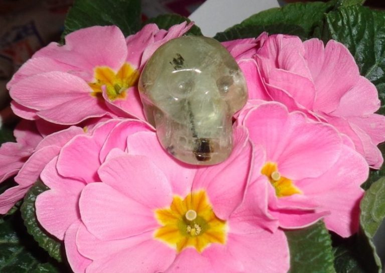 kleiner Prehnit Kristallschädel 25 g energetisiert