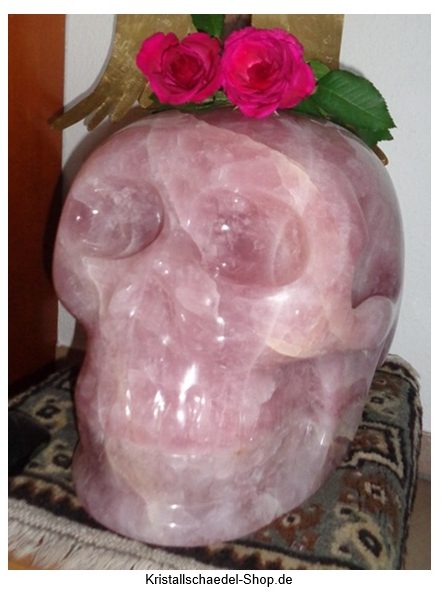 sehr großer Rosenquarz Kristallschädel Brasilien 60 kg Helaria