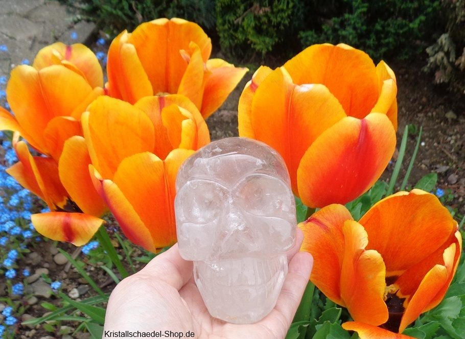Bergkristallschädel mit orangenen Tulpen klarer Bergkristallschädel mit gelben orangenen Tulpen Helaria