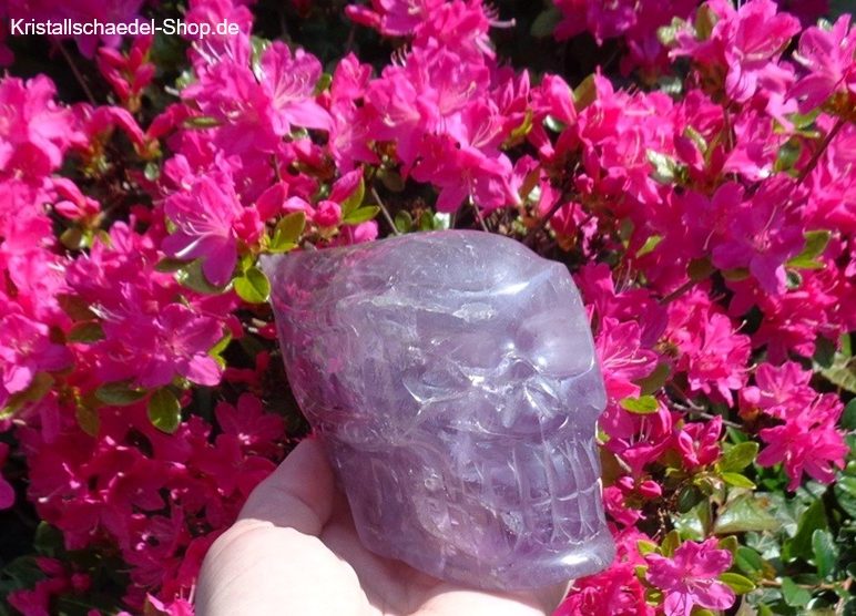 Amethyst Kristallschädel Brasilien 1,27 kg